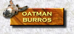 Oatman Burros Page